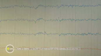 E=M6 - Sieste, hydratation : ces petits gestes qui ont un grand impact sur votre santé !