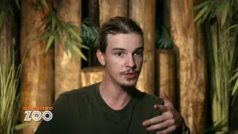 Une saison au zoo - S12 E47