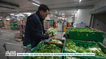 Un jour, un doc - Grand Frais : les recettes secrètes du supermarché qui fait craquer les Français (1/2)