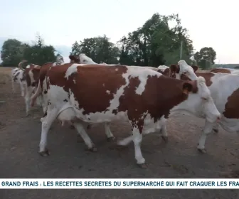 Un jour, un doc
