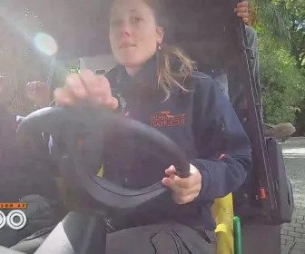 Une saison au zoo