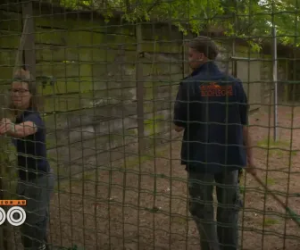 Une saison au zoo