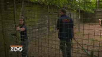 Une saison au zoo - S10 E52