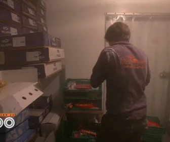 Une saison au zoo