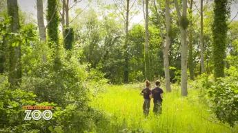 Une saison au zoo - S10 E54