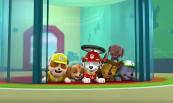 Paw Patrol, la Pat'Patrouille - L'électro-aimant
