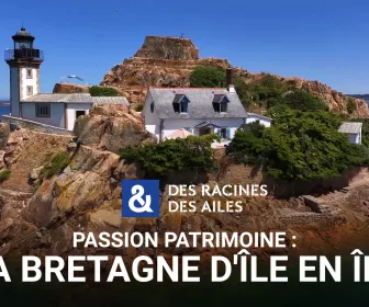 Des racines et des ailes