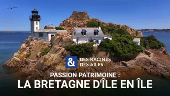 Des racines et des ailes - Passion patrimoine : la Bretagne d'île en île