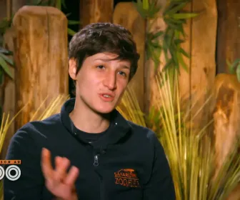 Une saison au zoo