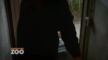 Une saison au zoo - S11 E60