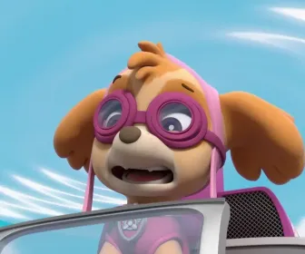 Paw Patrol, la Pat'Patrouille