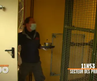 Une saison au zoo