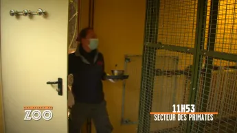 Une saison au zoo - S13 E14