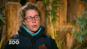 Une saison au zoo - S13 E15