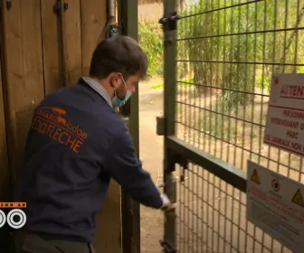 Une saison au zoo