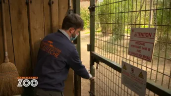 Une saison au zoo - S13 E16