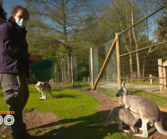 Une saison au zoo