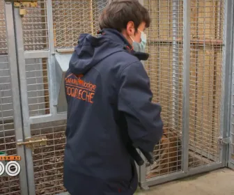 Une saison au zoo