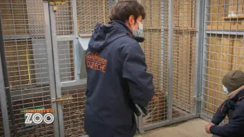 Une saison au zoo - S13 E19
