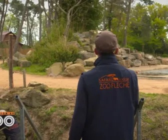 Une saison au zoo