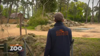 Une saison au zoo - S13 E22