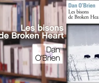 La p'tite librairie