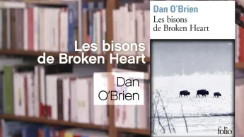 La p'tite librairie - Les bisons de Broken Heart - Dan O'Brien