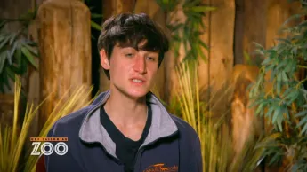 Une saison au zoo - S13 E26