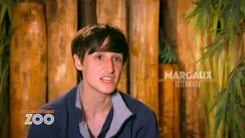 Une saison au zoo - S13 E28
