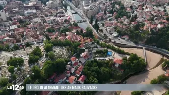 Le 1245 - du 08/10/2026