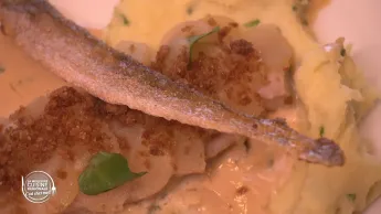 La meilleure cuisine régionale, c'est chez moi ! - J5 : Hauts-de-France