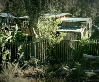 Habitations en peril