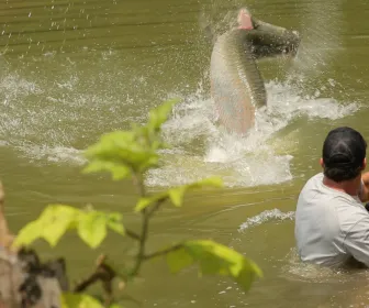 Pêche XXL