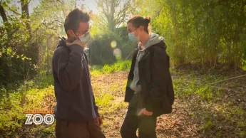 Une saison au zoo - S13 E29