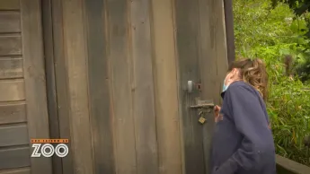Une saison au zoo - S13 E30