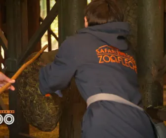 Une saison au zoo