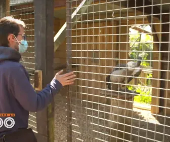 Une saison au zoo