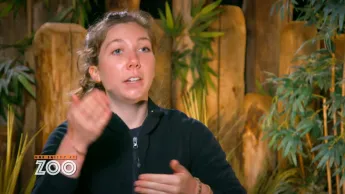 Une saison au zoo - S13 E36