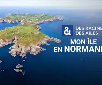 Des racines et des ailes