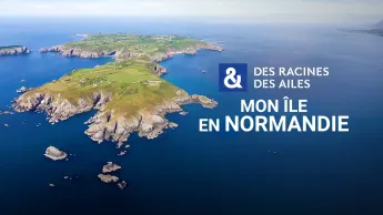 Des racines et des ailes - Passion patrimoine : mon île en Normandie