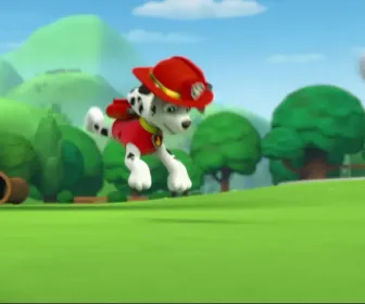 Paw Patrol, la Pat'Patrouille