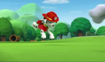 Paw Patrol, la Pat'Patrouille - Le tricycle