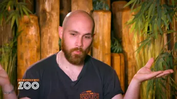 Une saison au zoo - S13 E37