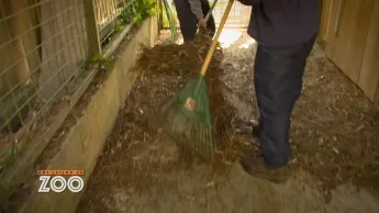 Une saison au zoo - S13 E40