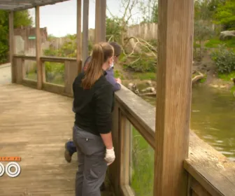 Une saison au zoo