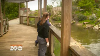 Une saison au zoo - S13 E43