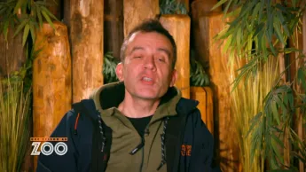 Une saison au zoo - S13 E44