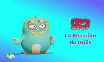 TFOU d'info - du 14 octobre 2026