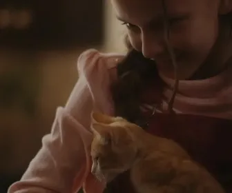 Un Noël chatoyant !