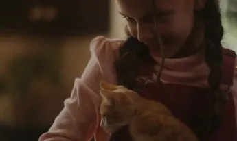 Un Noël chatoyant ! - 